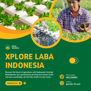 Xplore Laba Desa DIgital