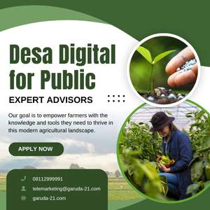 DIgital Services for Public